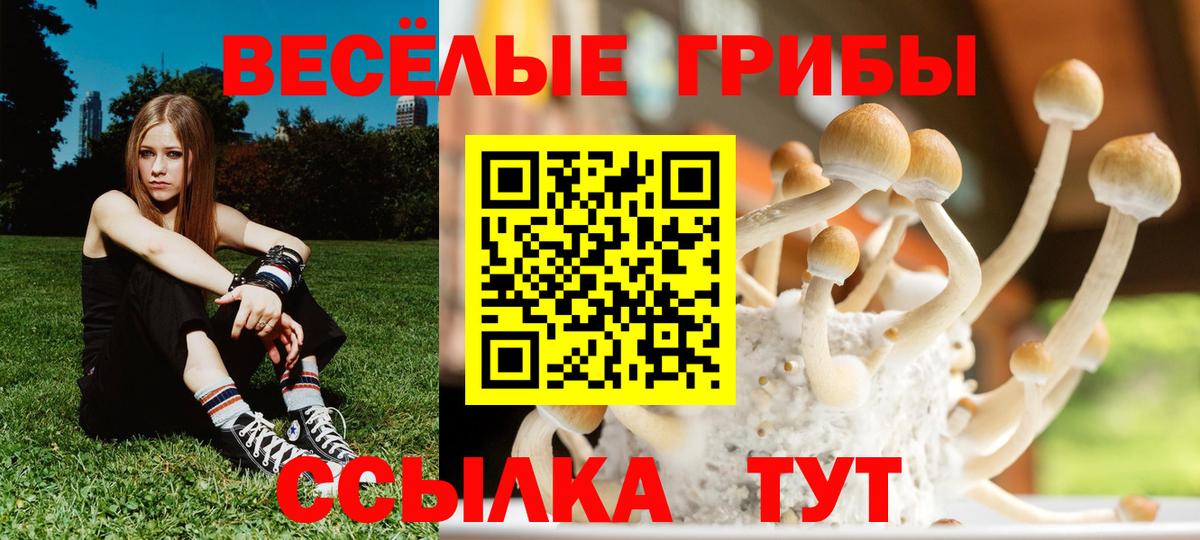 Галлюциногенные грибы Cubensis  Вход с VPN  Великий Устюг 